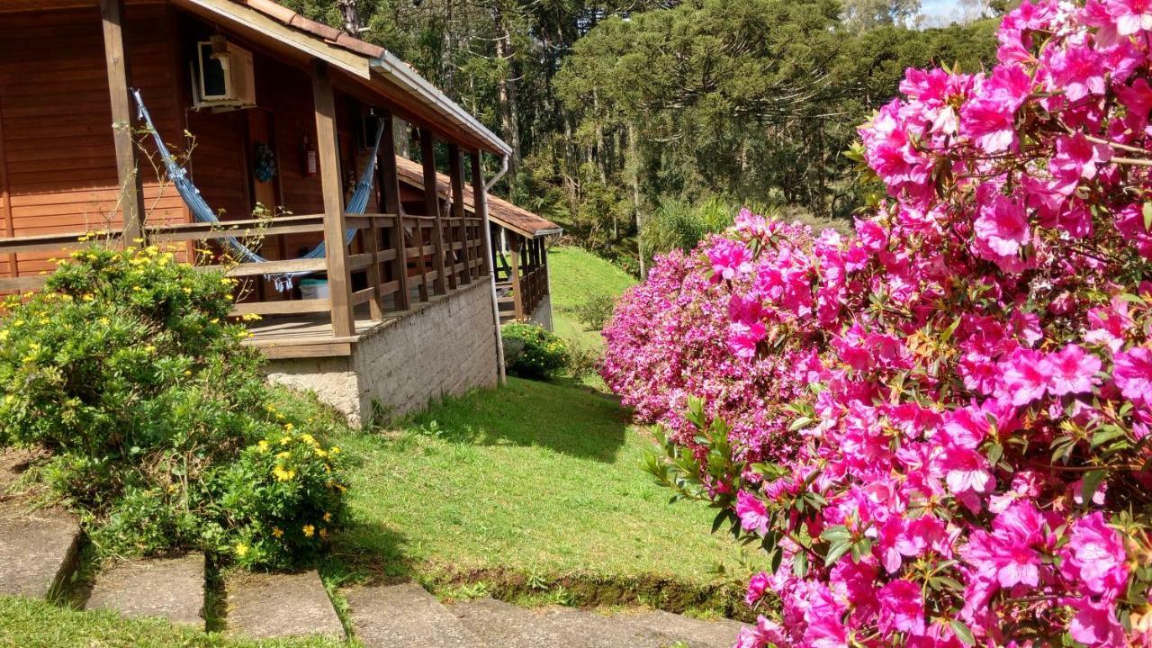 Estalagem Reserva Da Collina 格拉玛多 外观 照片