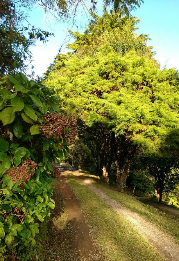 Estalagem Reserva Da Collina 格拉玛多 外观 照片